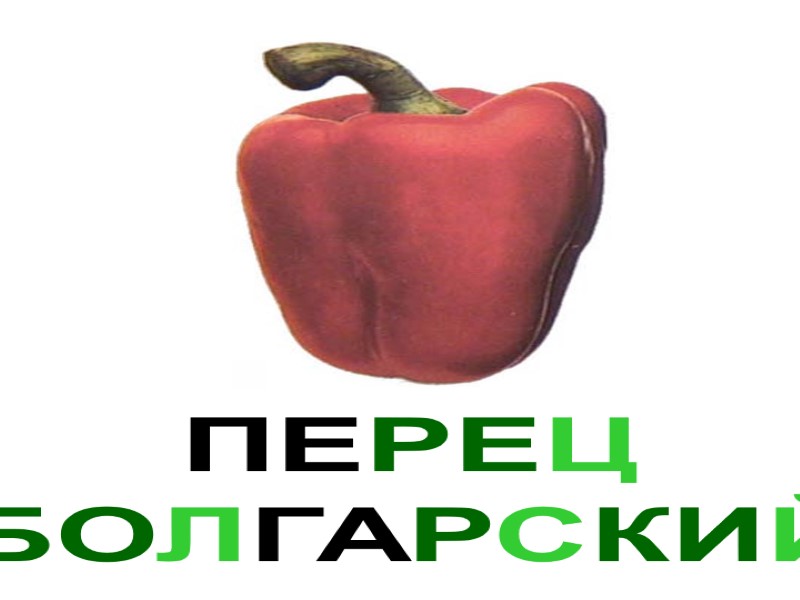ПЕРЕЦ БОЛГАРСКИЙ